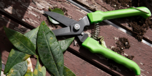 Garden pruners